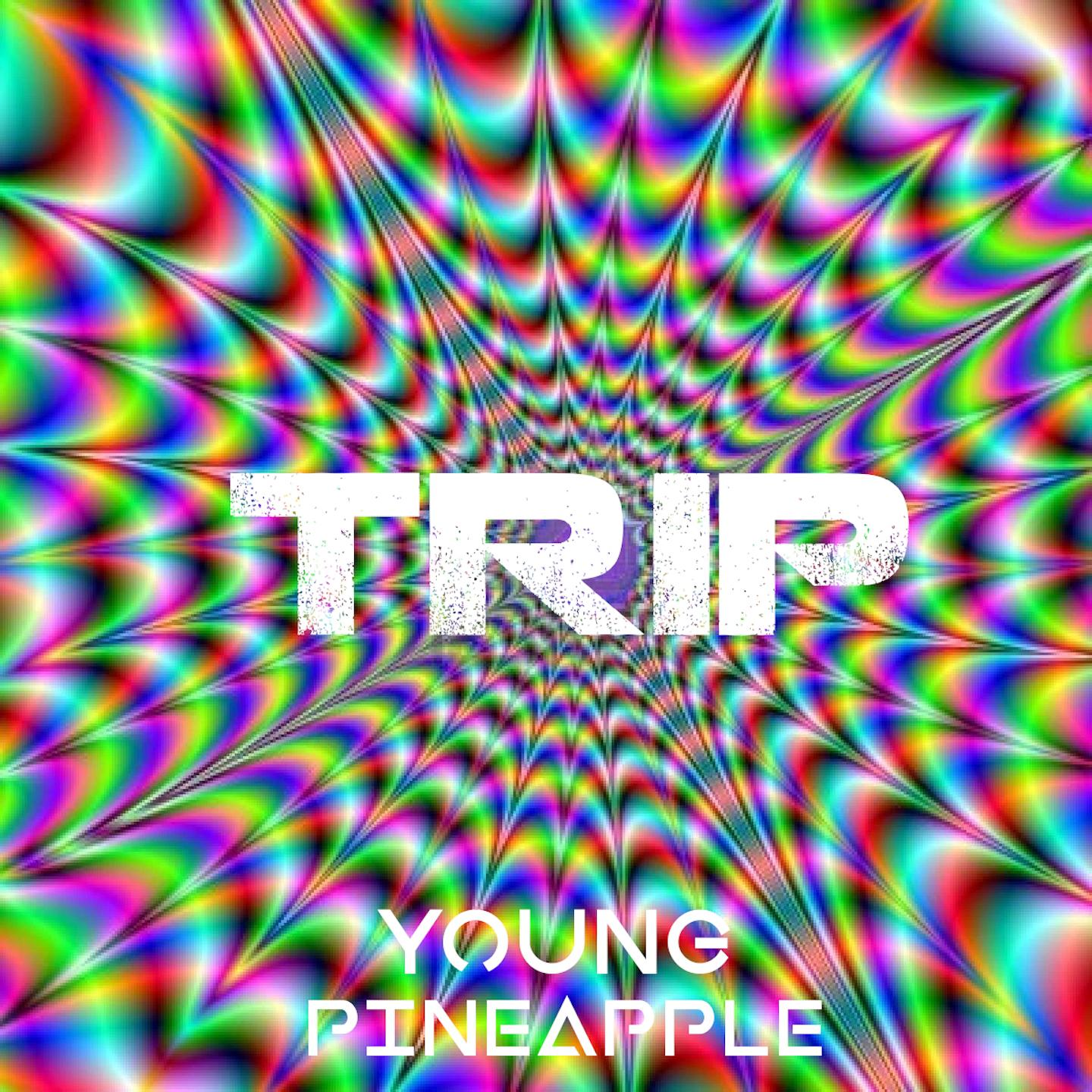 Trip的多元内涵与深层解读