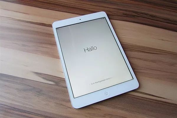白小姐4肖必中一肖，未来解答解释落实_iPad23.10.67