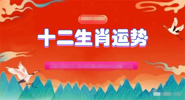 2024澳门资料正版大全一肖中特，节奏解答解释落实_3D87.88.95