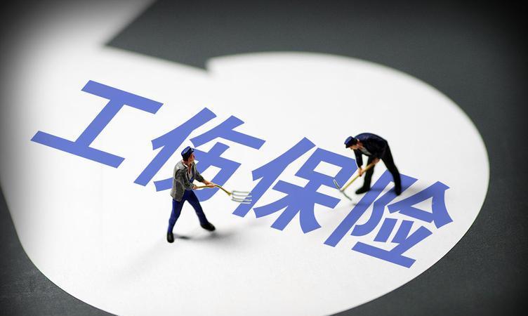 2024全年免费资料公开|精选解释解析落实