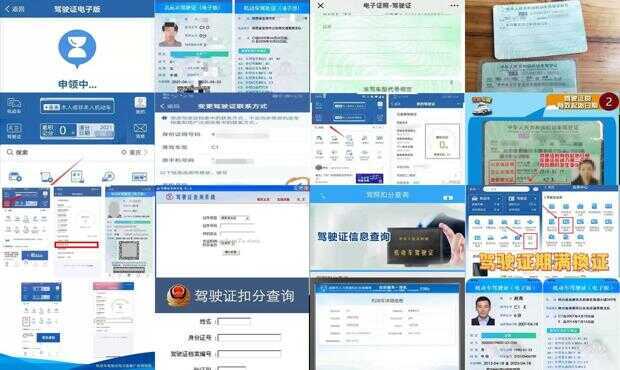 驾驶证查询，全方位指南助你轻松入门到精通