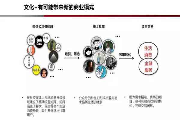 MBQ，创新力量重塑未来商业模式