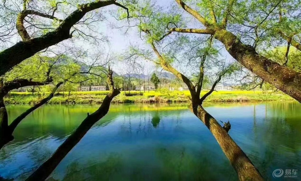 绿静之美，自然与心灵的和谐交融之道